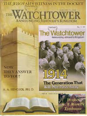 cover image of Jehovah's Witness In the Dockett